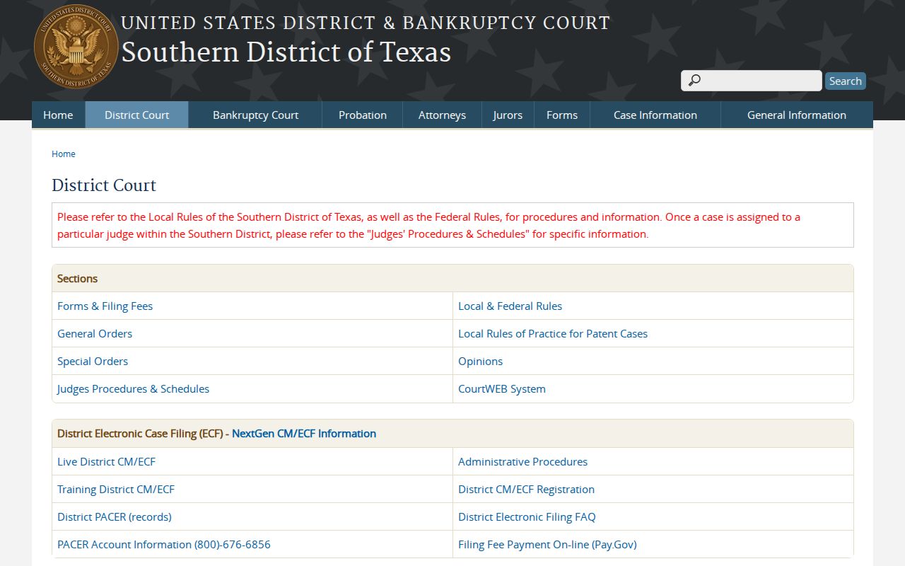 Benavides federal criminal record search in the Southern District of Texas
